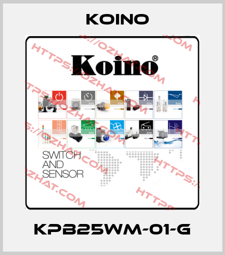 KPB25WM-01-G Koino
