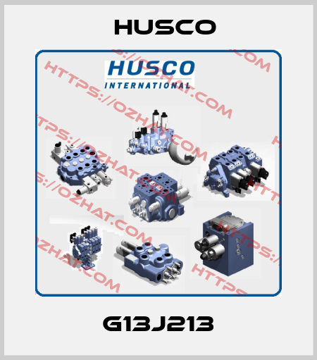 G13J213 Husco