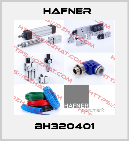 BH320401 Hafner