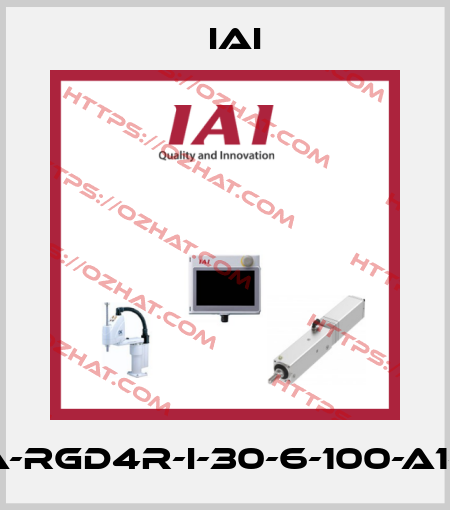 RCA-RGD4R-I-30-6-100-A1-S-B IAI