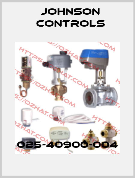 025-40900-004 Johnson Controls