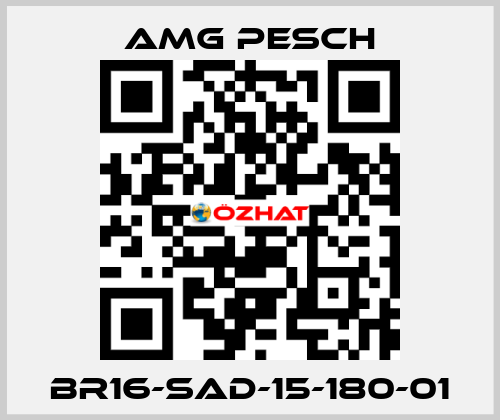 BR16-SAD-15-180-01 AMG Pesch