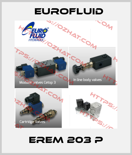 EREM 203 P Eurofluid