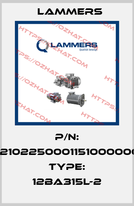 P/N: 02102250001151000000, Type: 12BA315L-2 Lammers
