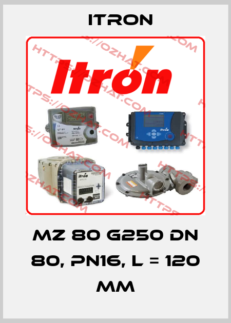 MZ 80 G250 DN 80, PN16, L = 120 mm Itron