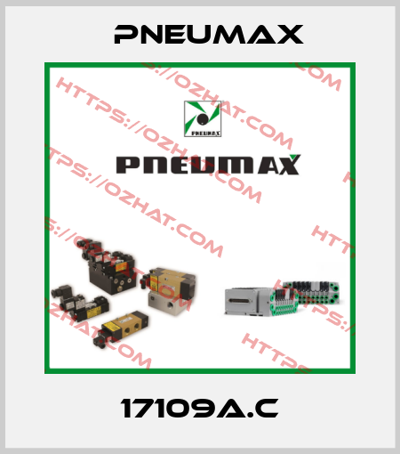17109A.C Pneumax