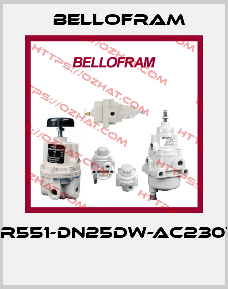 SR551-DN25DW-AC230V  Bellofram