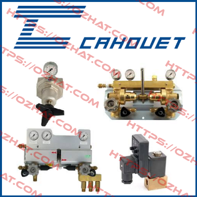 RV1101 Cahouet