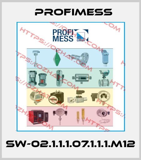 SW-02.1.1.1.07.1.1.1.M12 Profimess