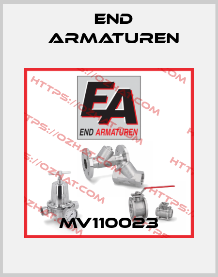 MV110023 End Armaturen