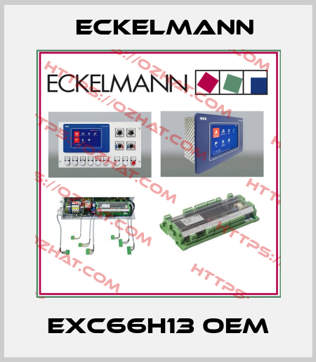 ExC66H13 OEM Eckelmann