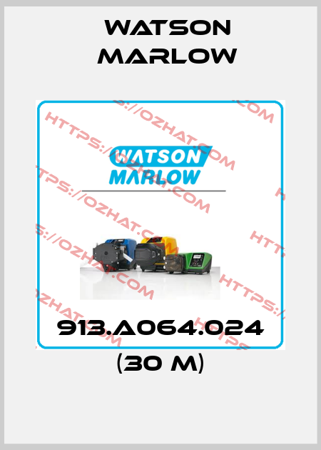 913.A064.024 (30 m) Watson Marlow