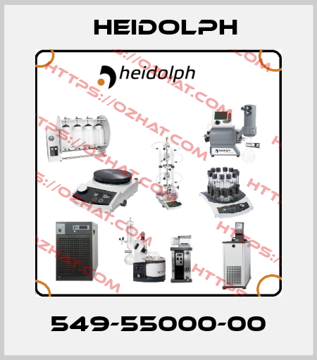 549-55000-00 Heidolph
