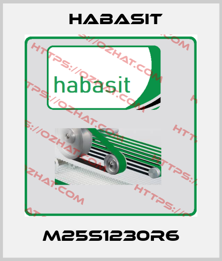 M25S1230R6 Habasit