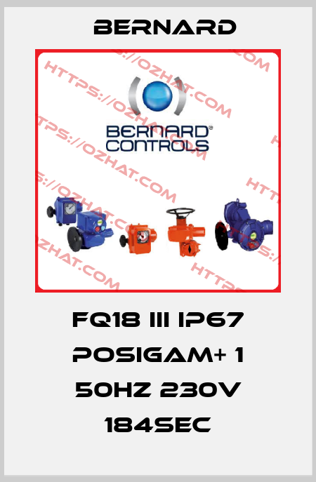 FQ18 III IP67 POSIGAM+ 1 50Hz 230V 184sec Bernard