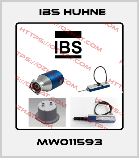 MW011593 IBS HUHNE