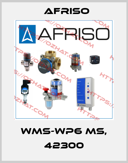 WMS-WP6 MS, 42300 Afriso