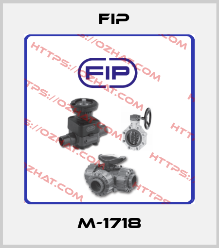 M-1718 Fip