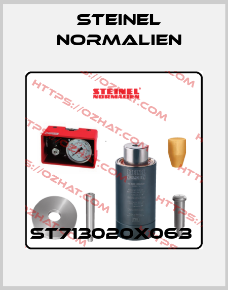 ST713020X063  Steinel Normalien