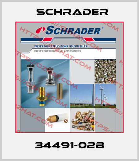 34491-02b Schrader