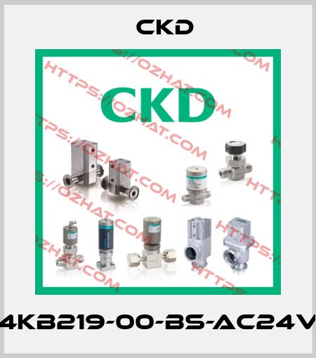 4KB219-00-BS-AC24V Ckd