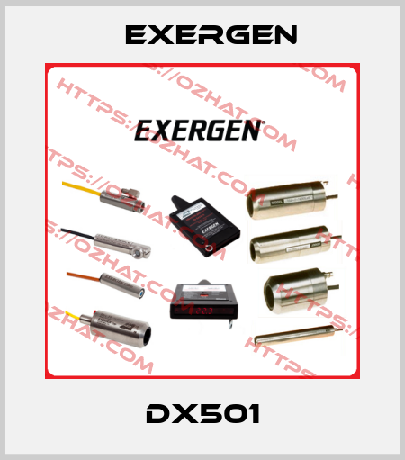 DX501 Exergen