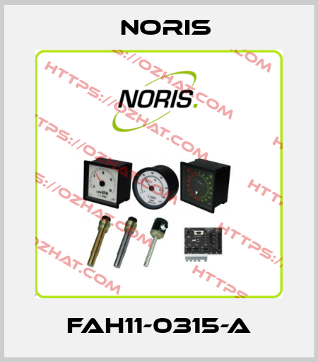 FAH11-0315-A Noris