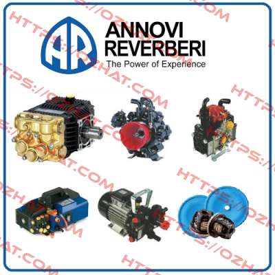 SUCTION AND DISCHARGE VALVE SET FOR SHP 10.50 WASHING PUMP  Annovi Reverberi