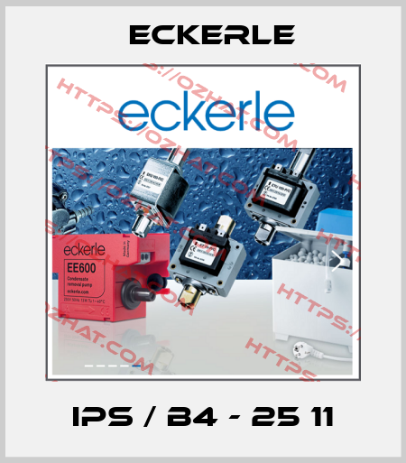 IPS / B4 - 25 11 Eckerle