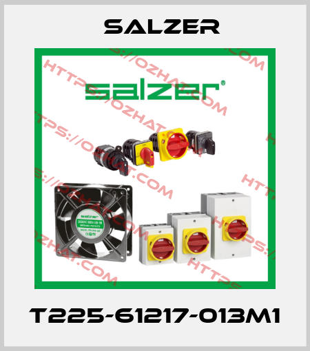 T225-61217-013M1 Salzer