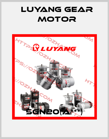 5GN20(A***) Luyang Gear Motor
