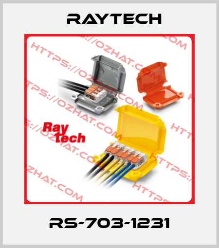 RS-703-1231 Raytech
