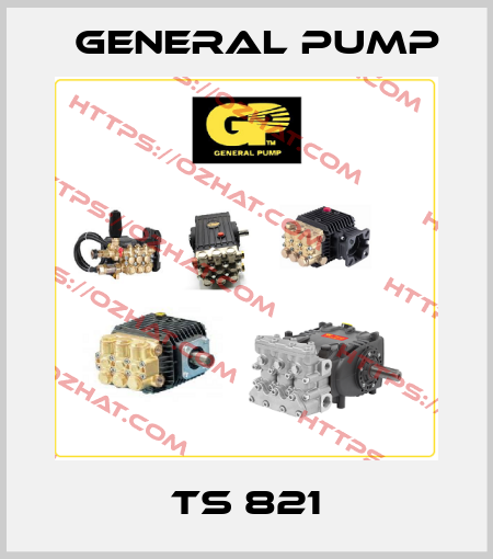 TS 821 General Pump