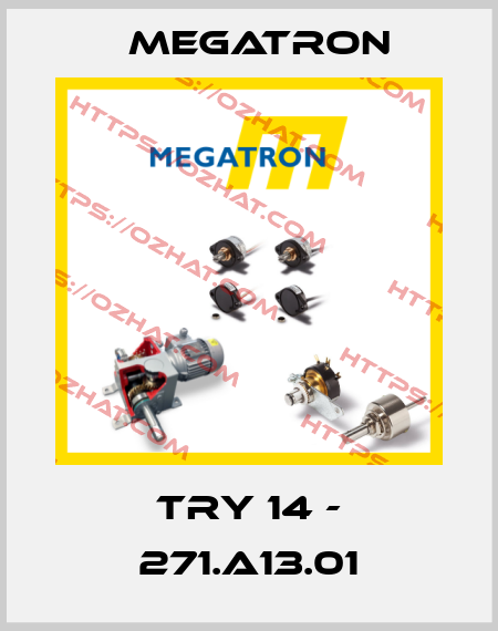 TRY 14 - 271.A13.01 Megatron