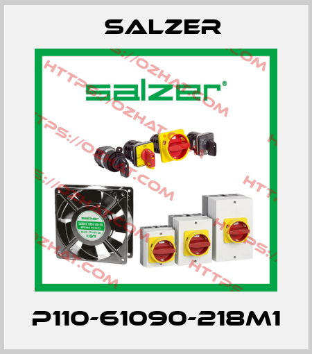 P110-61090-218M1 Salzer