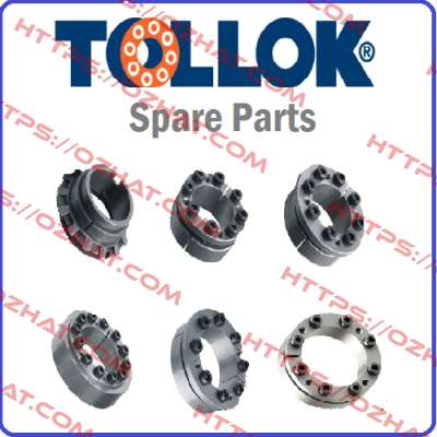 T133065X095  Tollok