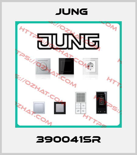 390041SR Jung