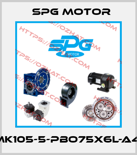PMK105-5-PBO75X6L-A481 Spg Motor