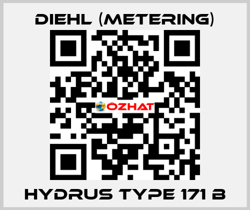 Hydrus Type 171 B Diehl (Metering)