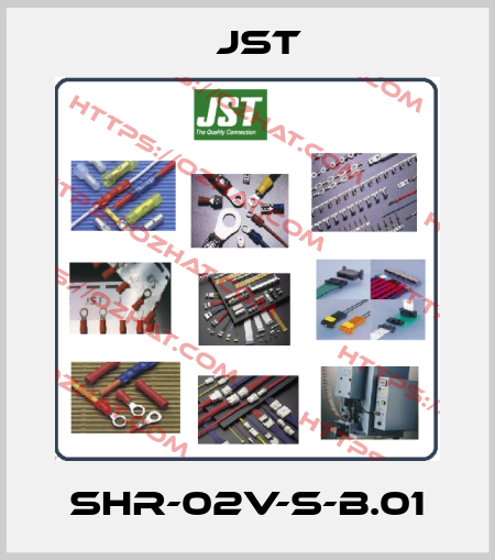 SHR-02V-S-B.01 JST