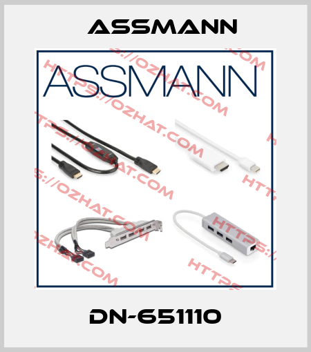 DN-651110 Assmann