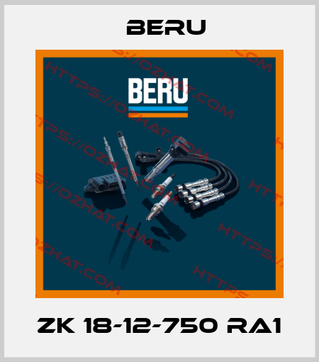 ZK 18-12-750 RA1 Beru