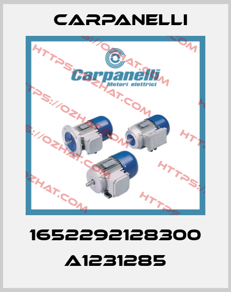1652292128300 A1231285 Carpanelli