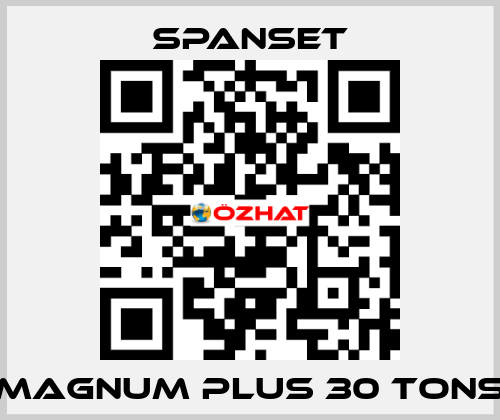 magnum plus 30 tons SpanSet