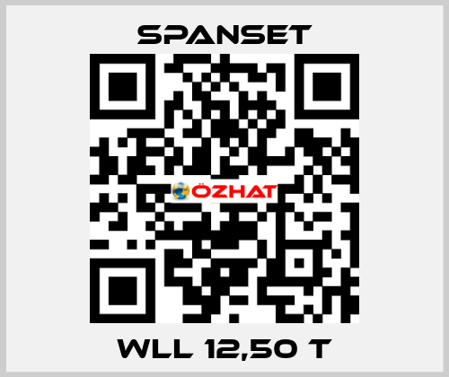WLL 12,50 t SpanSet