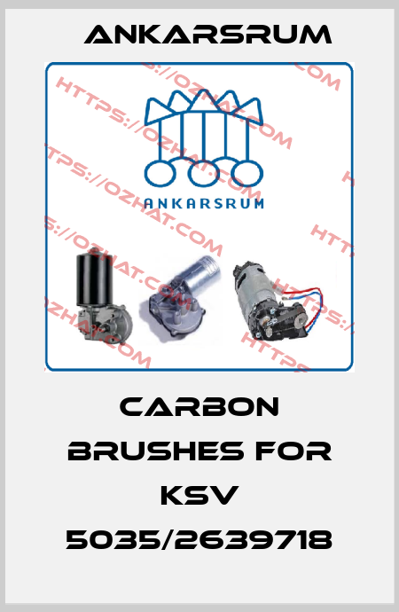 carbon brushes for KSV 5035/2639718 Ankarsrum