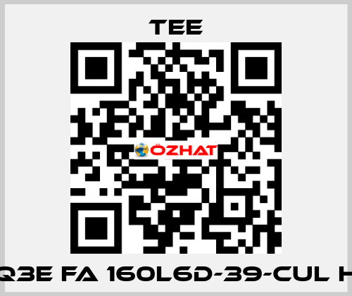 Q3E FA 160L6D-39-CUL H TEE