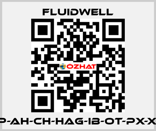 E110-P-AH-CH-HAG-IB-OT-PX-XD-ZB Fluidwell