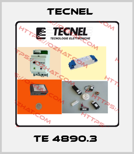 TE 4890.3  Tecnel