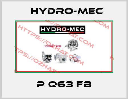 P Q63 FB Hydro-Mec
